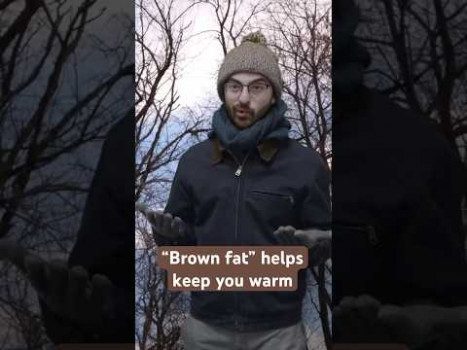“Brown fat” helps keep you warm ☃️ #winter #fat #cold