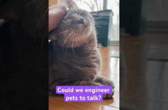 Could we engineer pets to talk? #pets #animals #cats