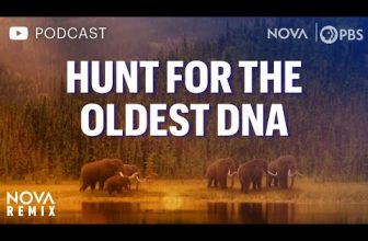 [PODCAST VERSION] Hunt for the Oldest DNA | NOVA Remix