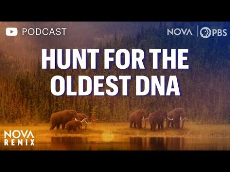 [PODCAST VERSION] Hunt for the Oldest DNA | NOVA Remix